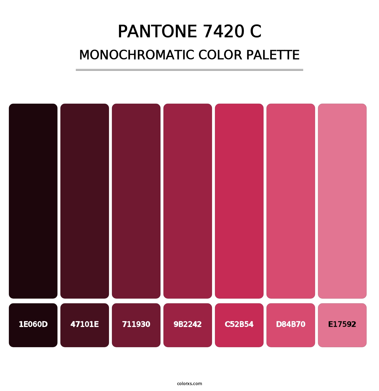 PANTONE 7420 C - Monochromatic Color Palette
