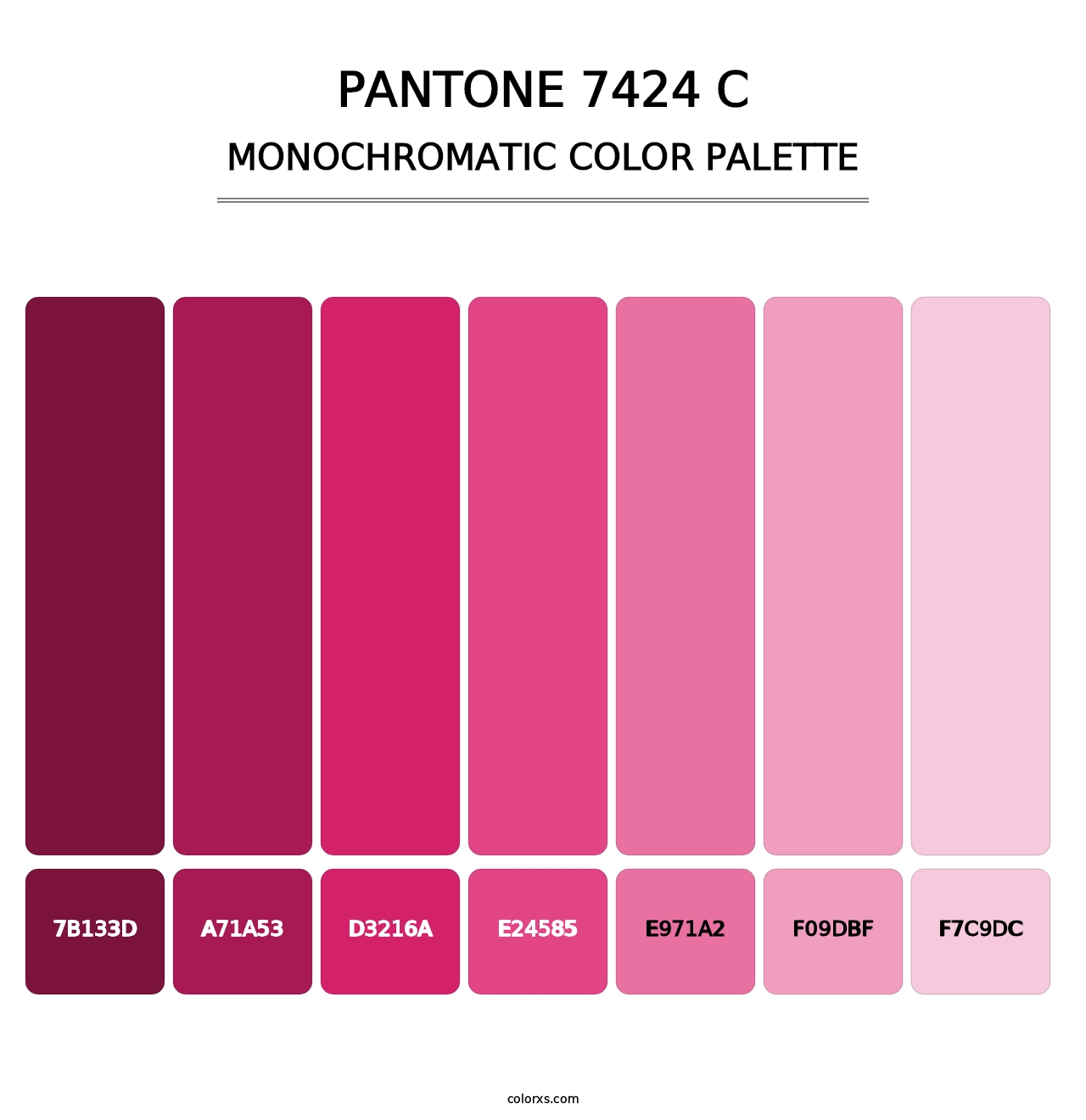 PANTONE 7424 C - Monochromatic Color Palette