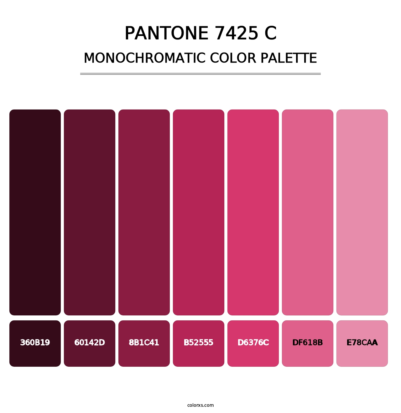 PANTONE 7425 C - Monochromatic Color Palette
