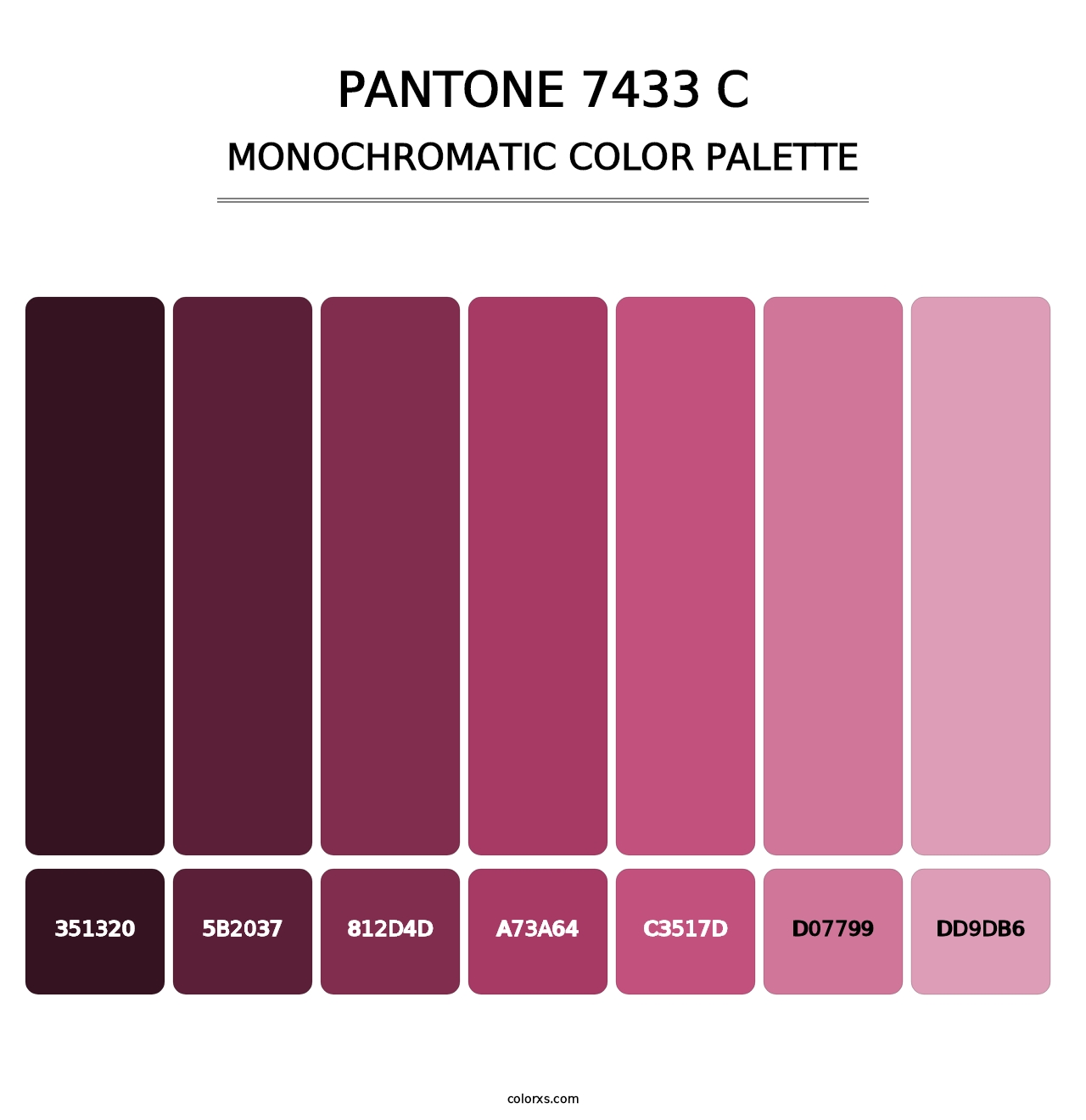 PANTONE 7433 C - Monochromatic Color Palette