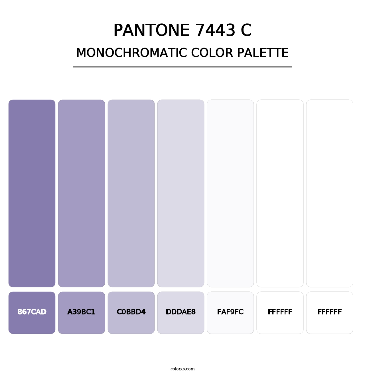 PANTONE 7443 C - Monochromatic Color Palette