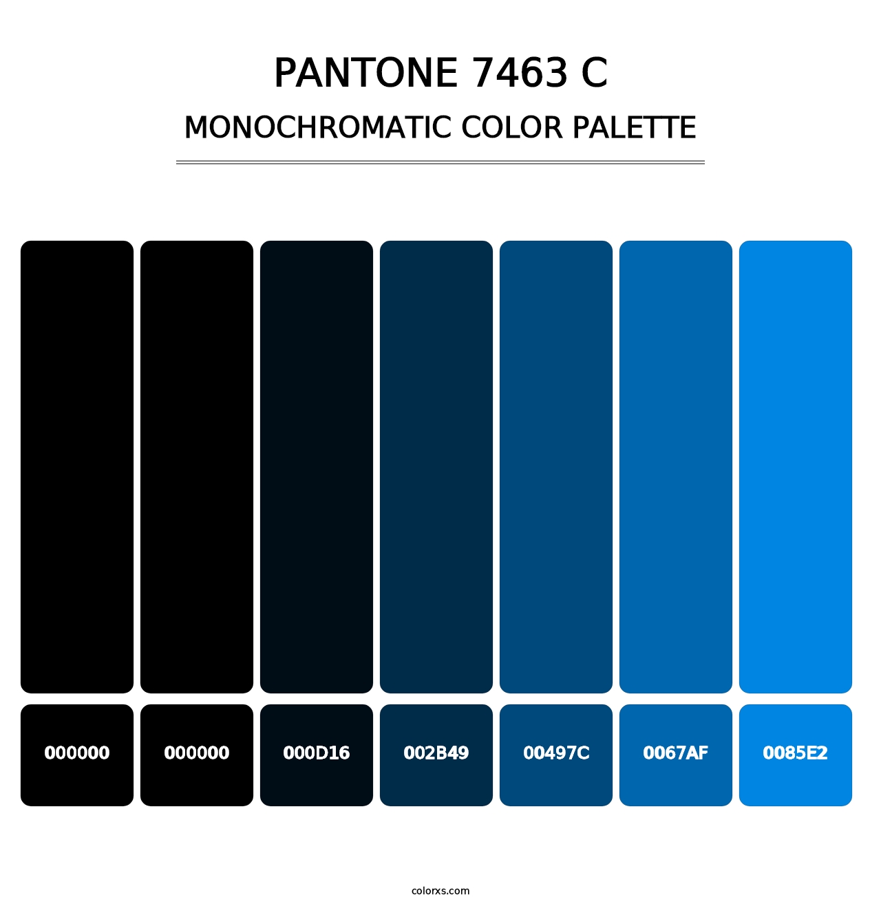 PANTONE 7463 C - Monochromatic Color Palette