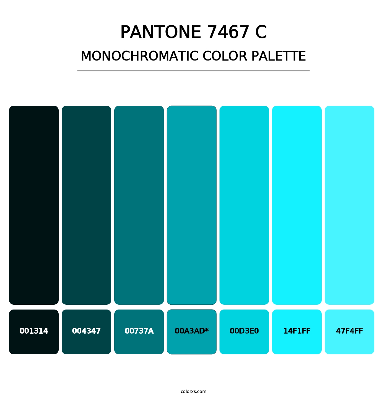 PANTONE 7467 C - Monochromatic Color Palette