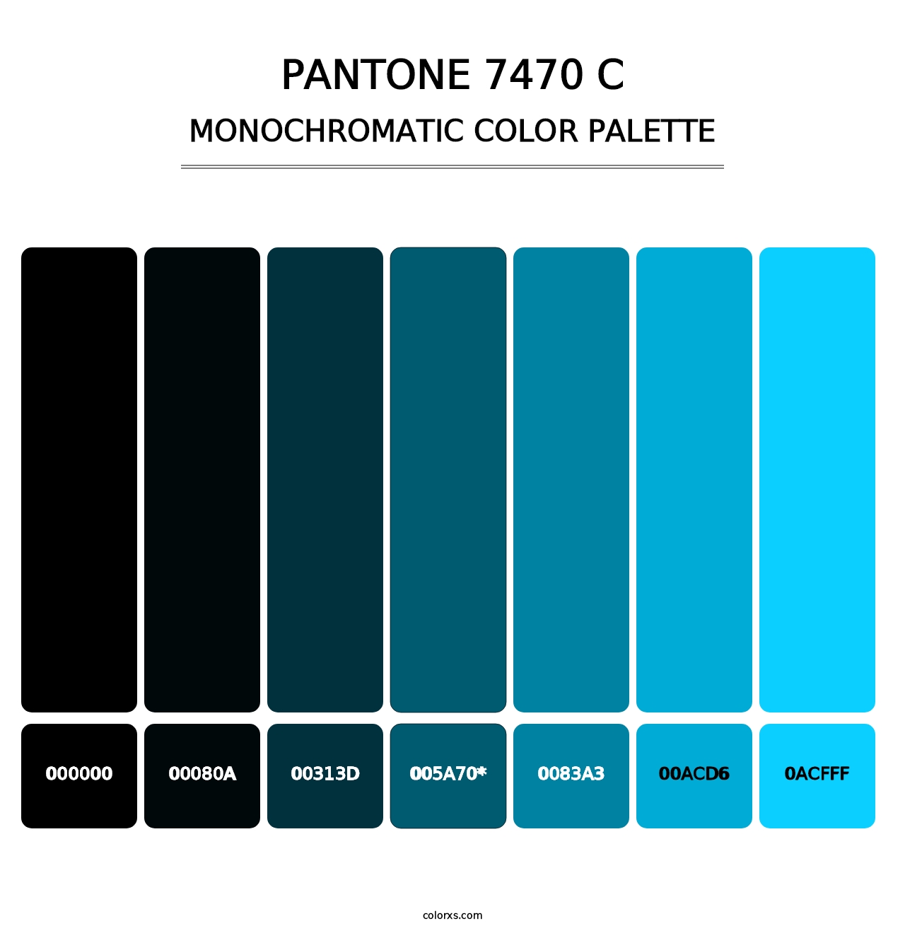 PANTONE 7470 C - Monochromatic Color Palette