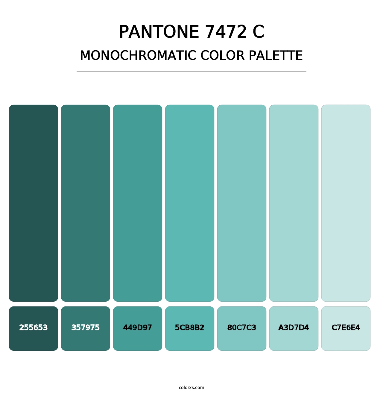 PANTONE 7472 C - Monochromatic Color Palette