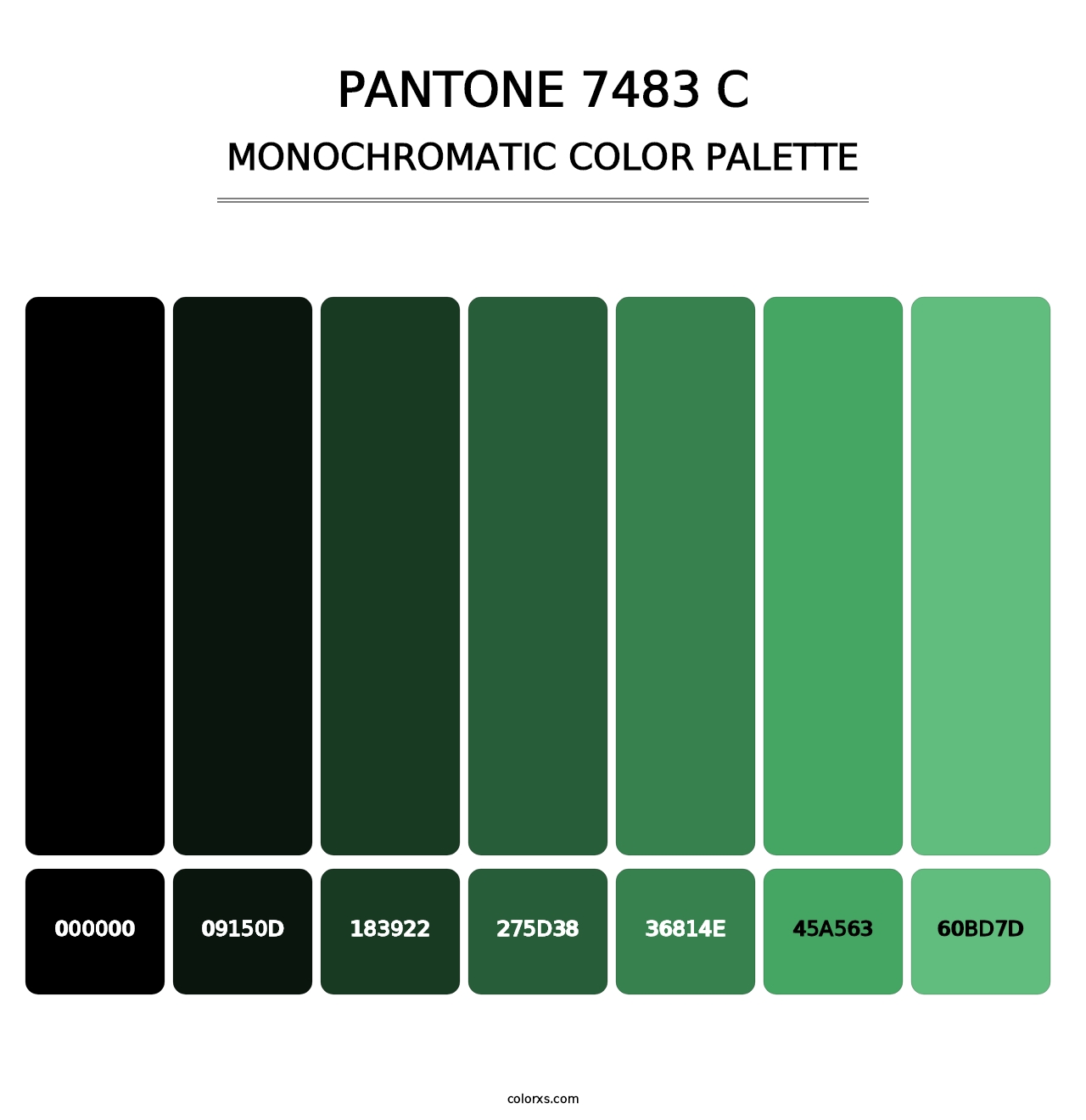 PANTONE 7483 C - Monochromatic Color Palette