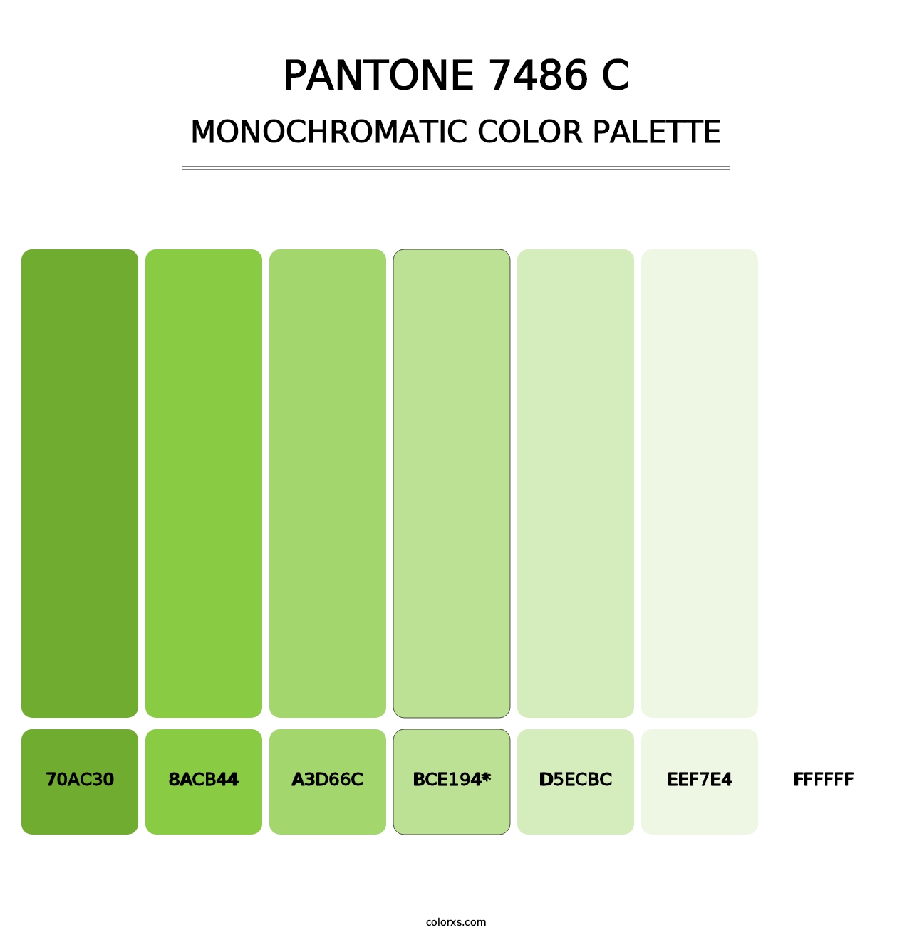 PANTONE 7486 C - Monochromatic Color Palette