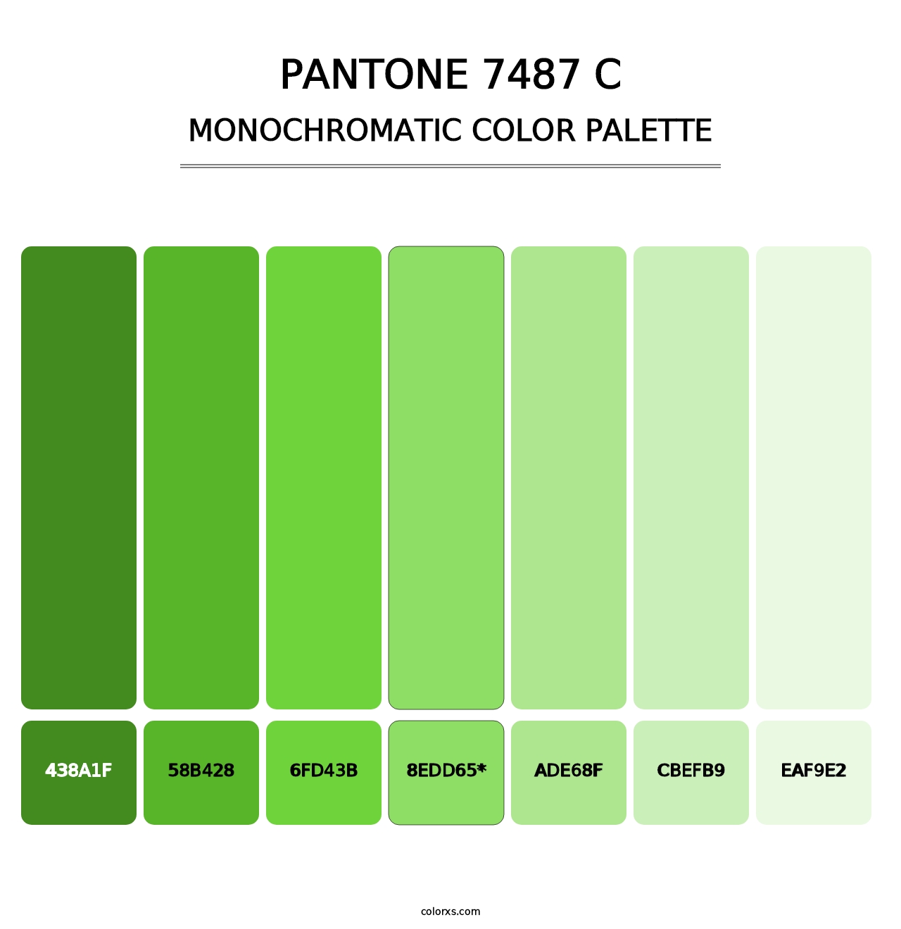 PANTONE 7487 C - Monochromatic Color Palette