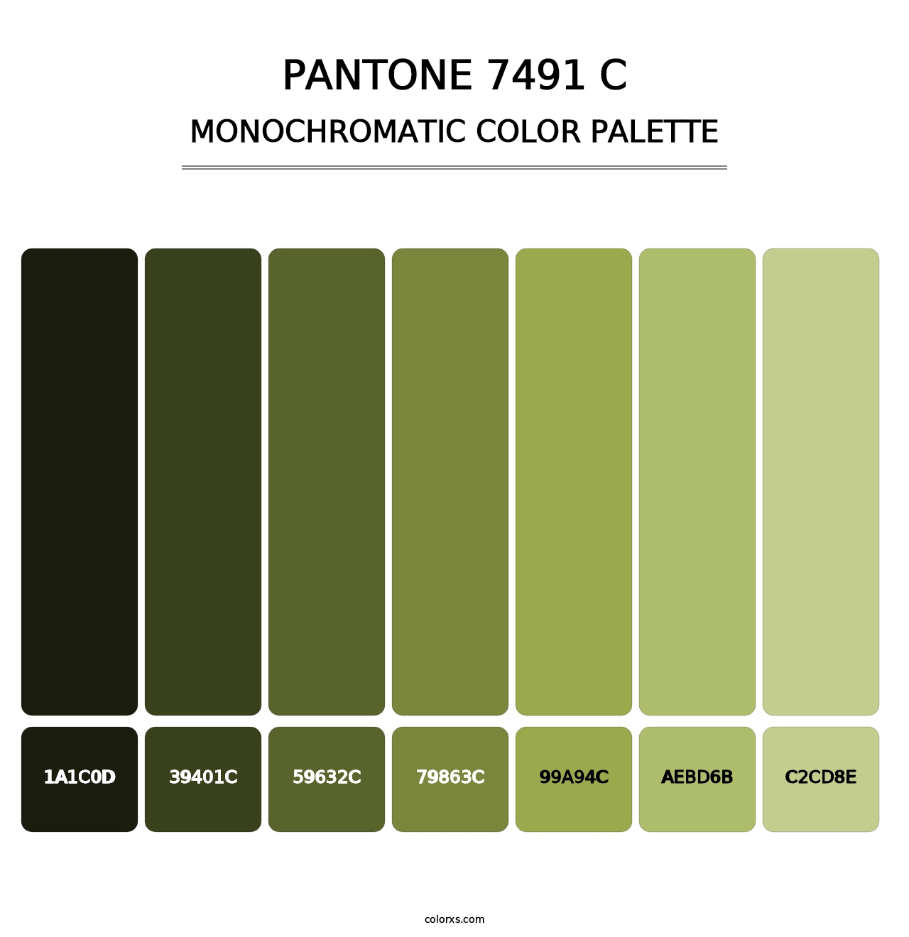 PANTONE 7491 C - Monochromatic Color Palette