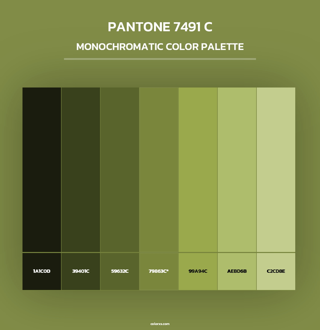 PANTONE 7491 C - Monochromatic Color Palette