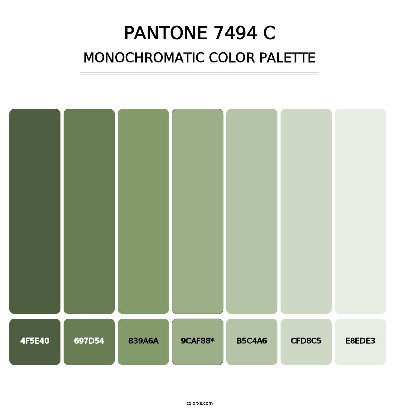 PANTONE 7494 C - Monochromatic Color Palette