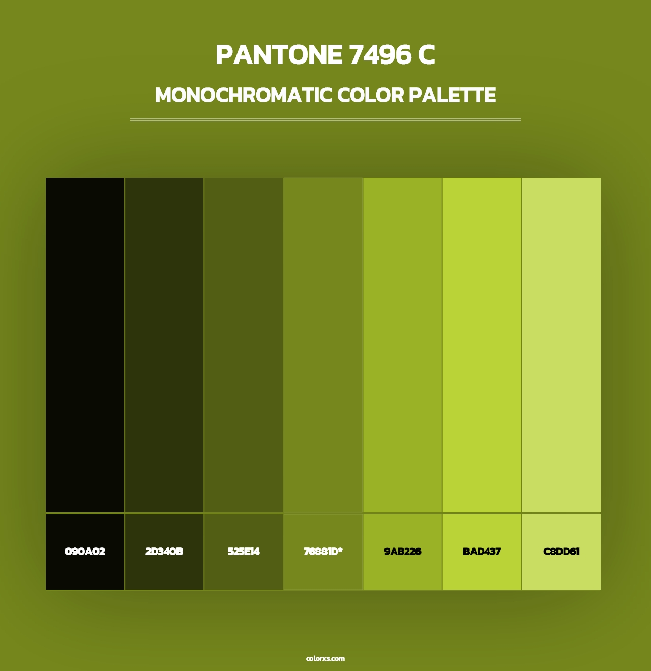 PANTONE 7496 C - Monochromatic Color Palette