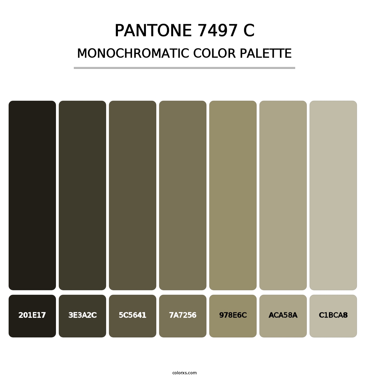 PANTONE 7497 C - Monochromatic Color Palette