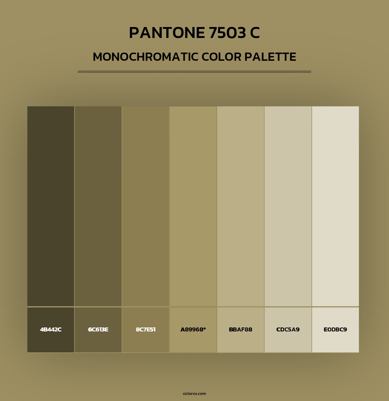 PANTONE 7503 C - Monochromatic Color Palette