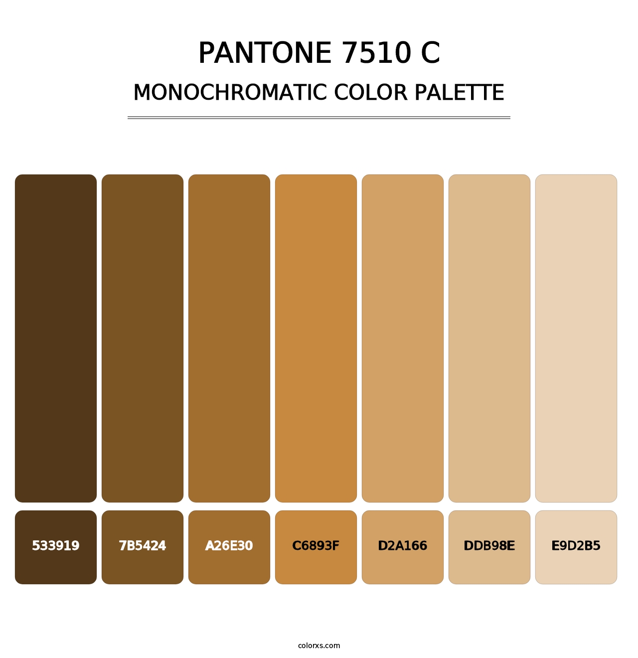 PANTONE 7510 C - Monochromatic Color Palette