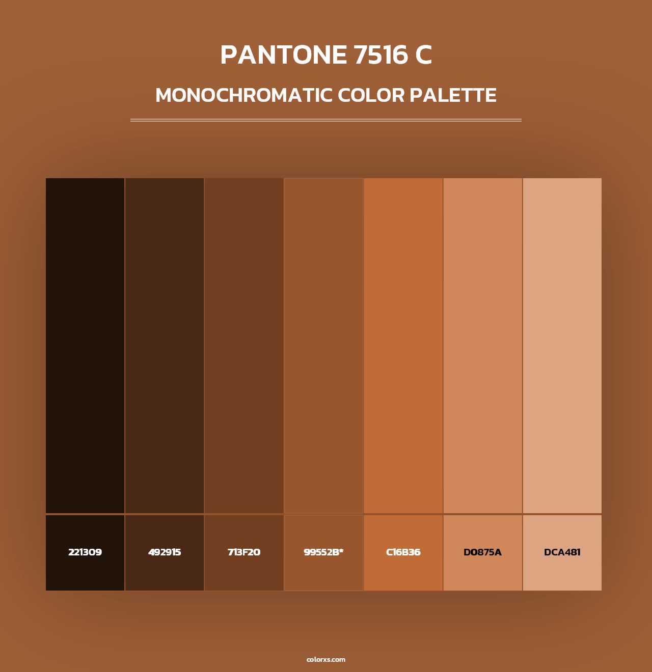 PANTONE 7516 C - Monochromatic Color Palette