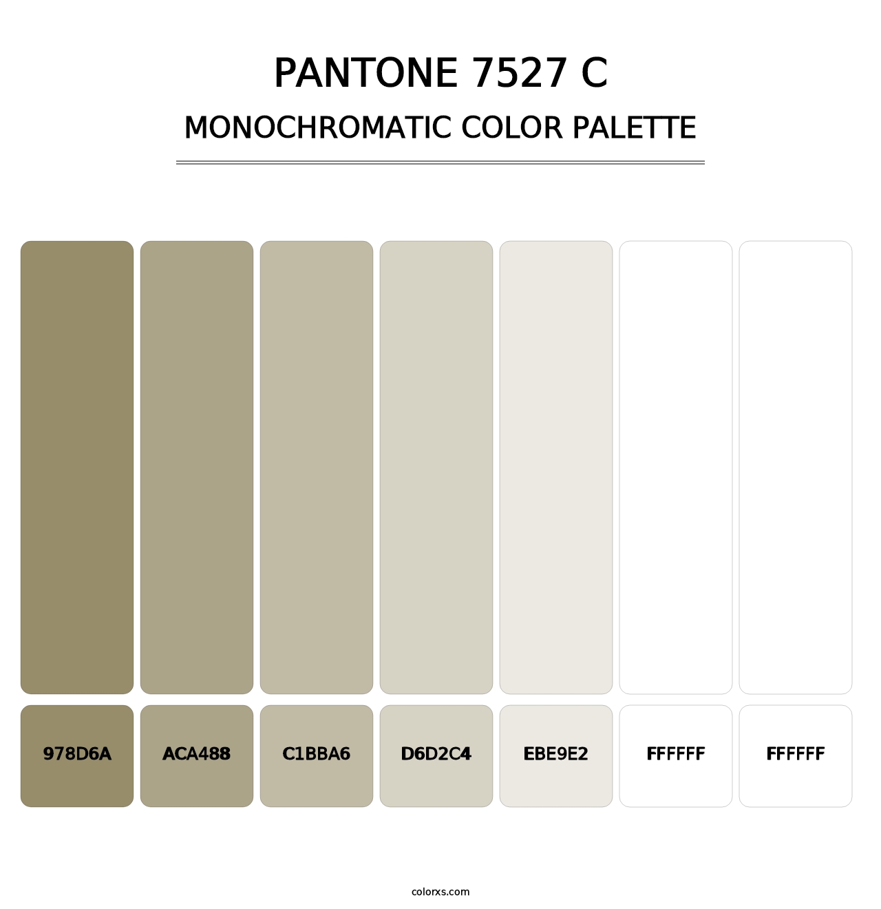 PANTONE 7527 C - Monochromatic Color Palette