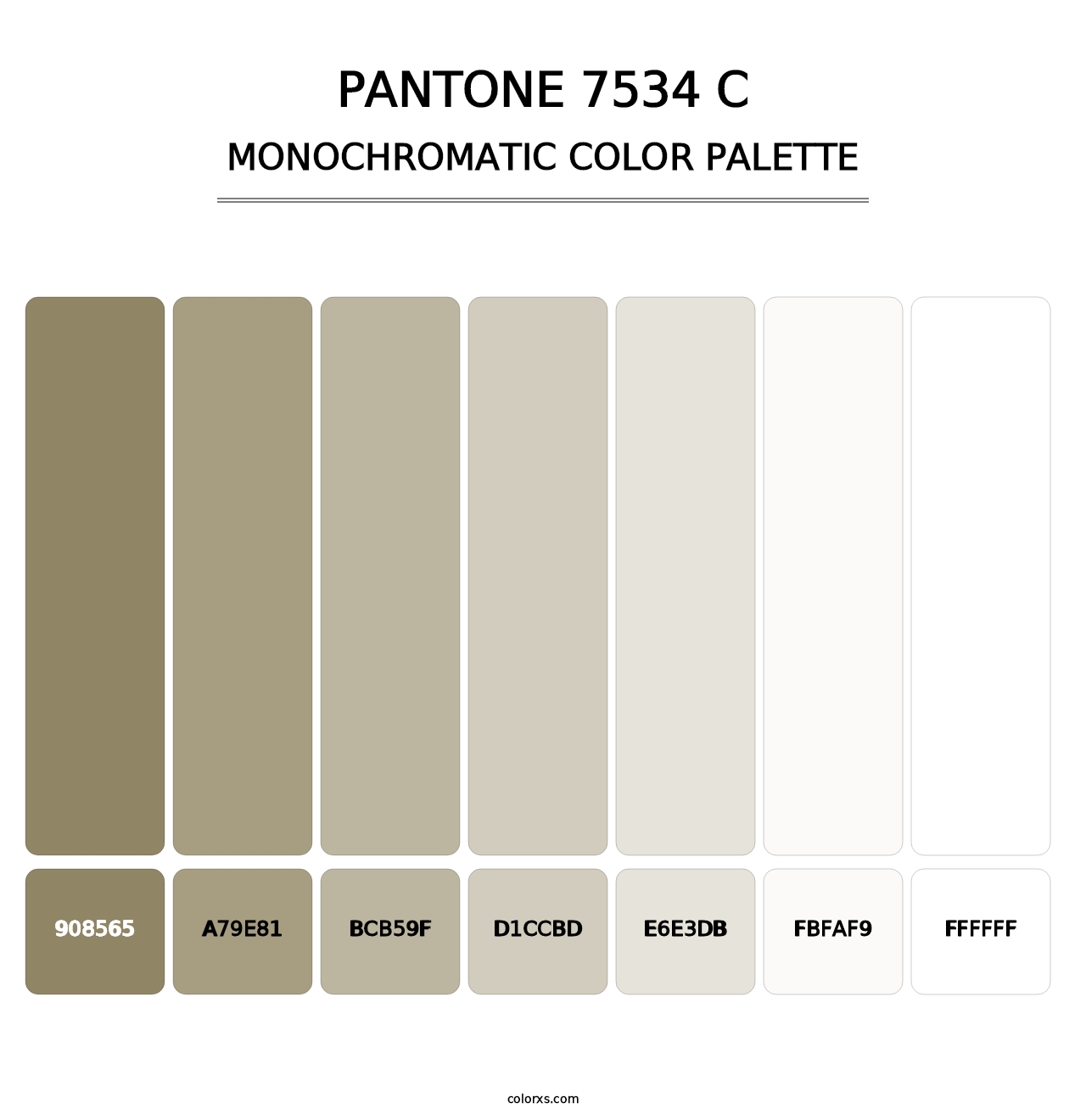 PANTONE 7534 C - Monochromatic Color Palette