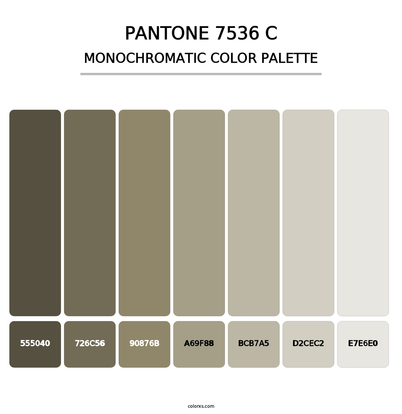 PANTONE 7536 C - Monochromatic Color Palette