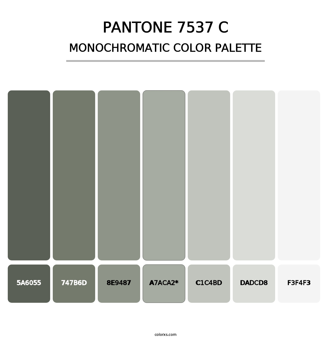 PANTONE 7537 C - Monochromatic Color Palette