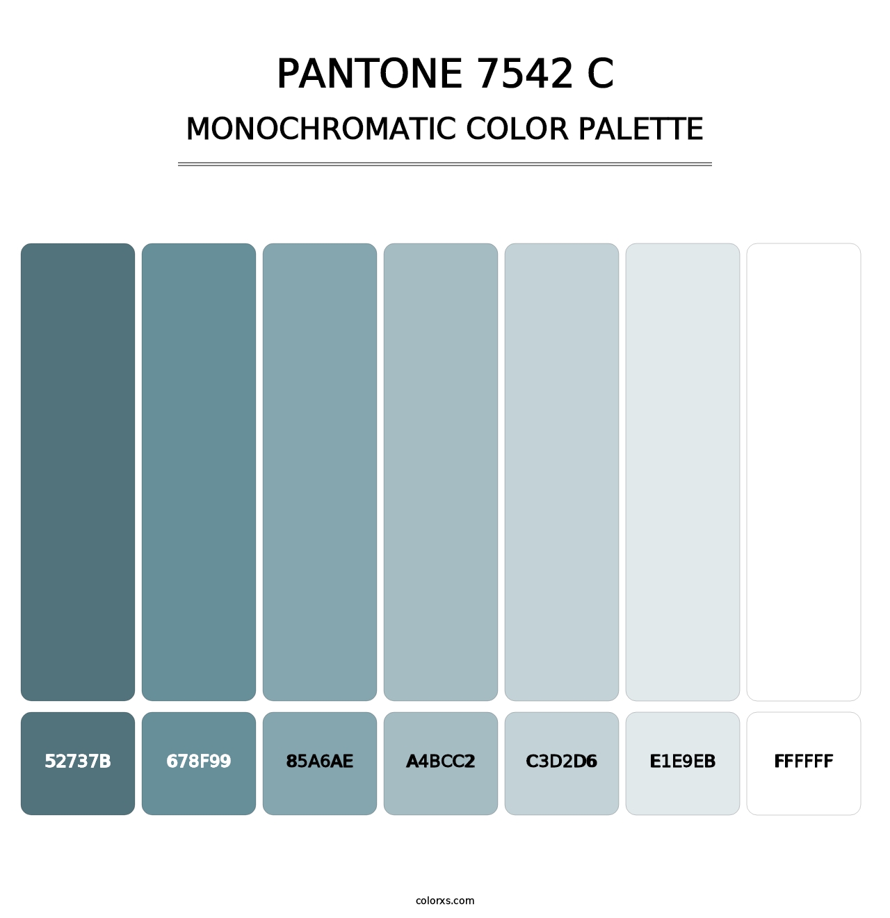 PANTONE 7542 C - Monochromatic Color Palette