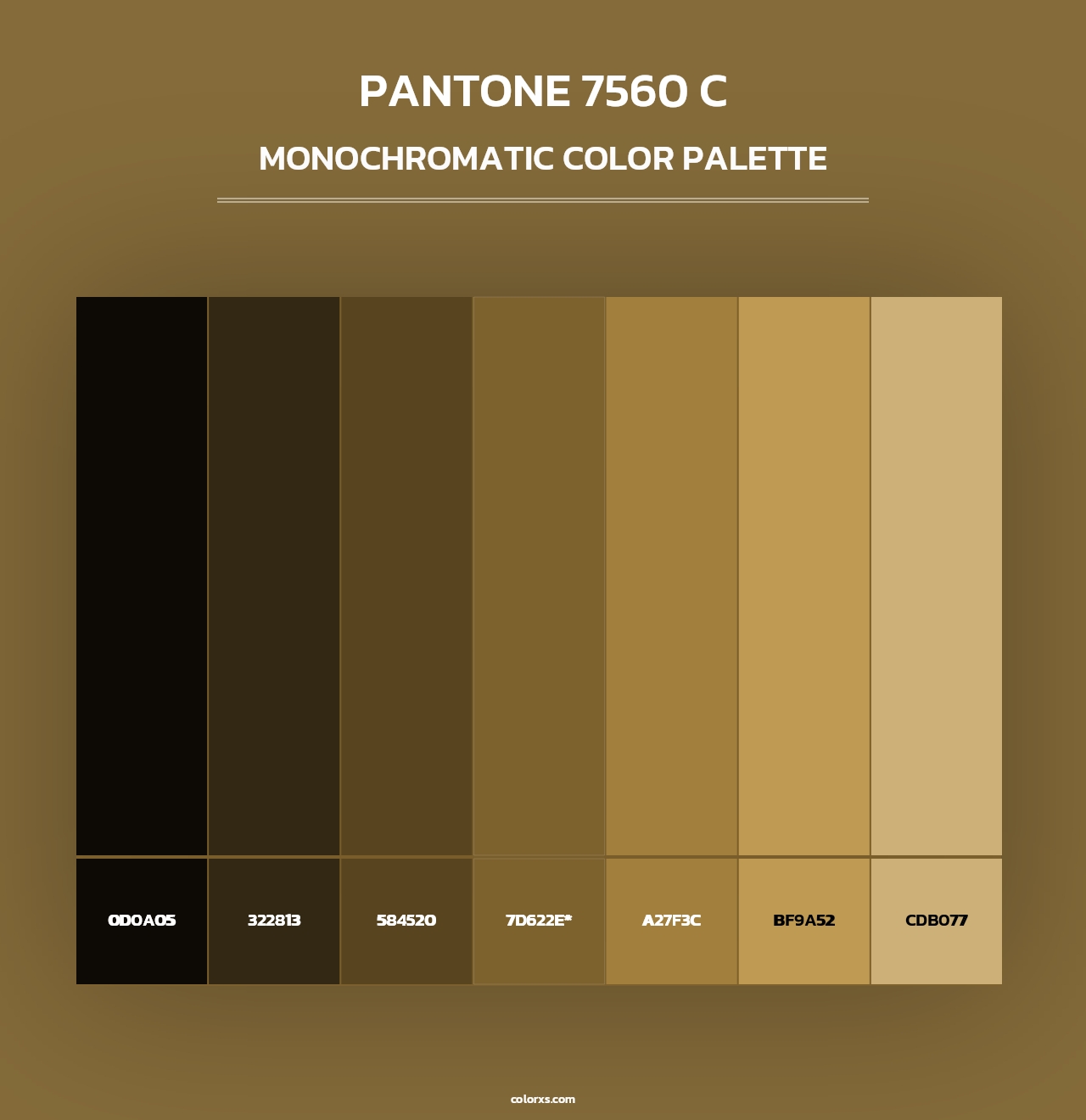 PANTONE 7560 C - Monochromatic Color Palette