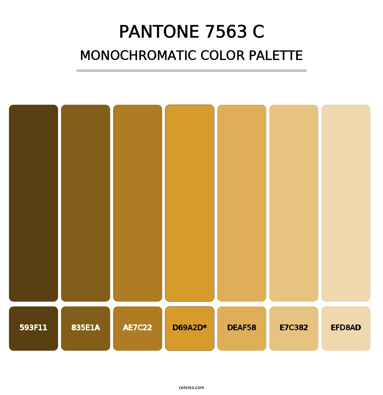 PANTONE 7563 C - Monochromatic Color Palette
