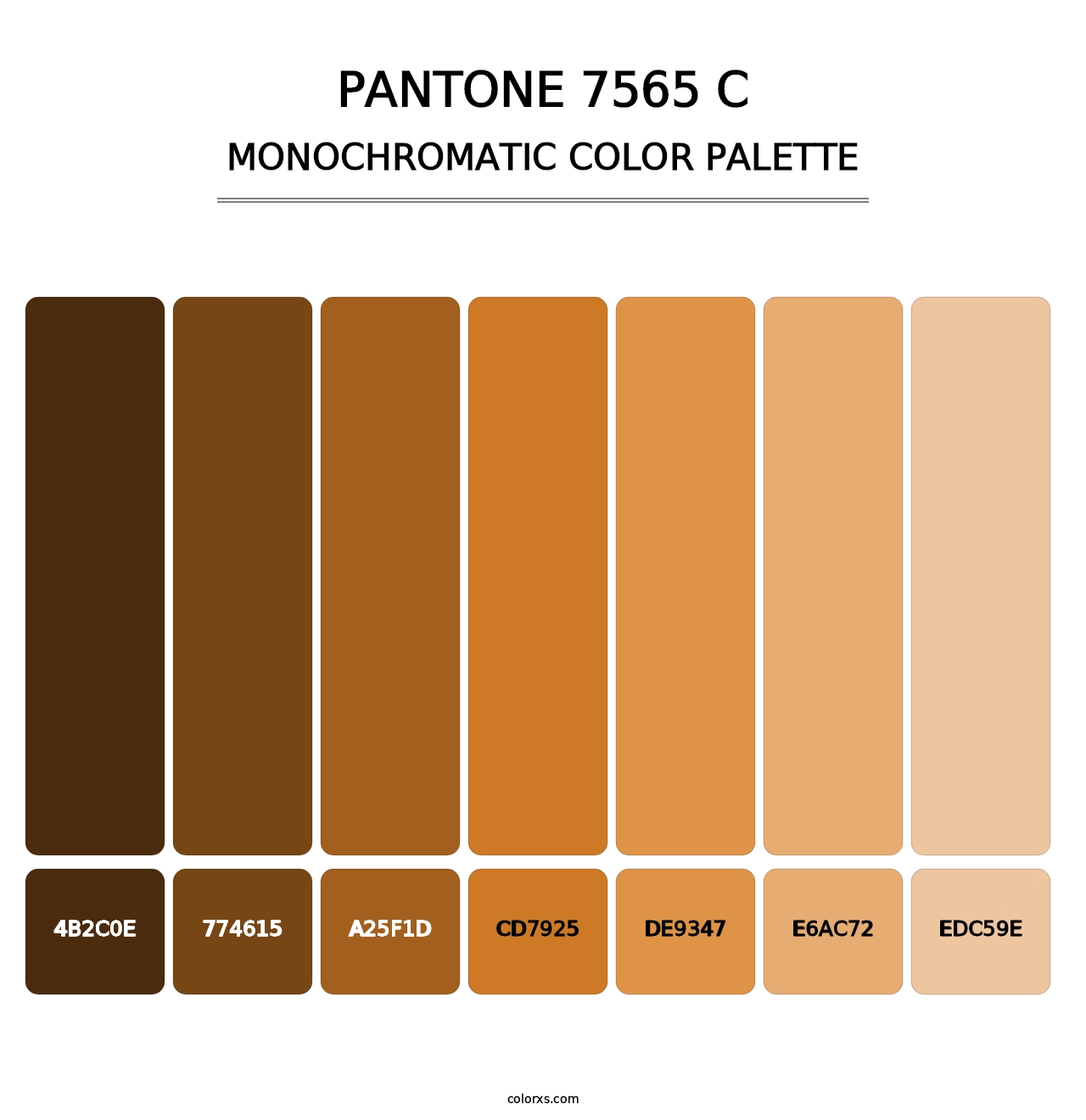 PANTONE 7565 C - Monochromatic Color Palette
