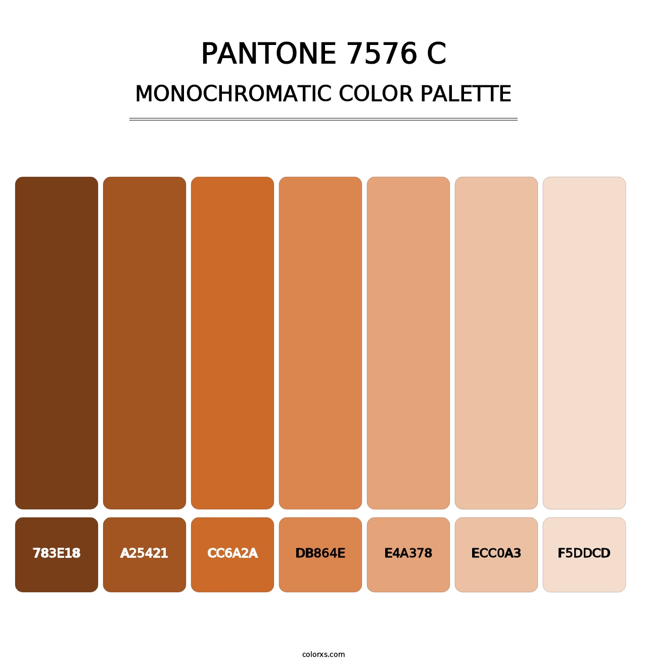 PANTONE 7576 C - Monochromatic Color Palette
