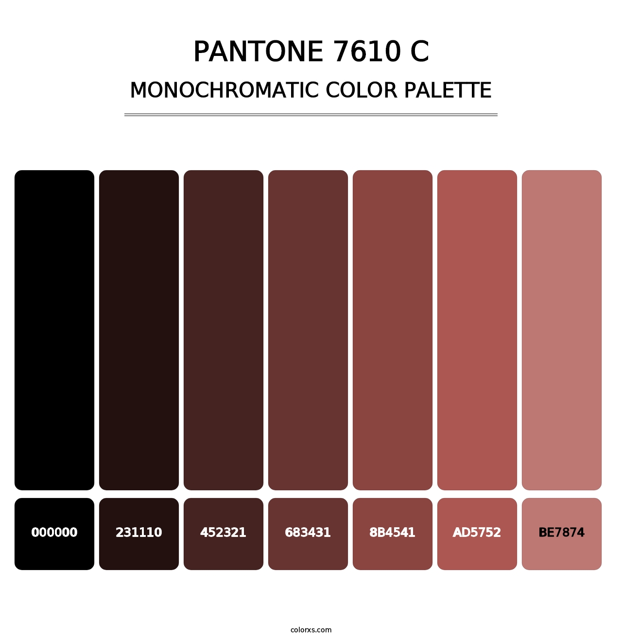 PANTONE 7610 C - Monochromatic Color Palette