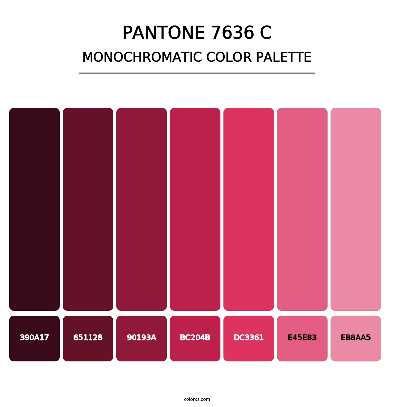 PANTONE 7636 C - Monochromatic Color Palette