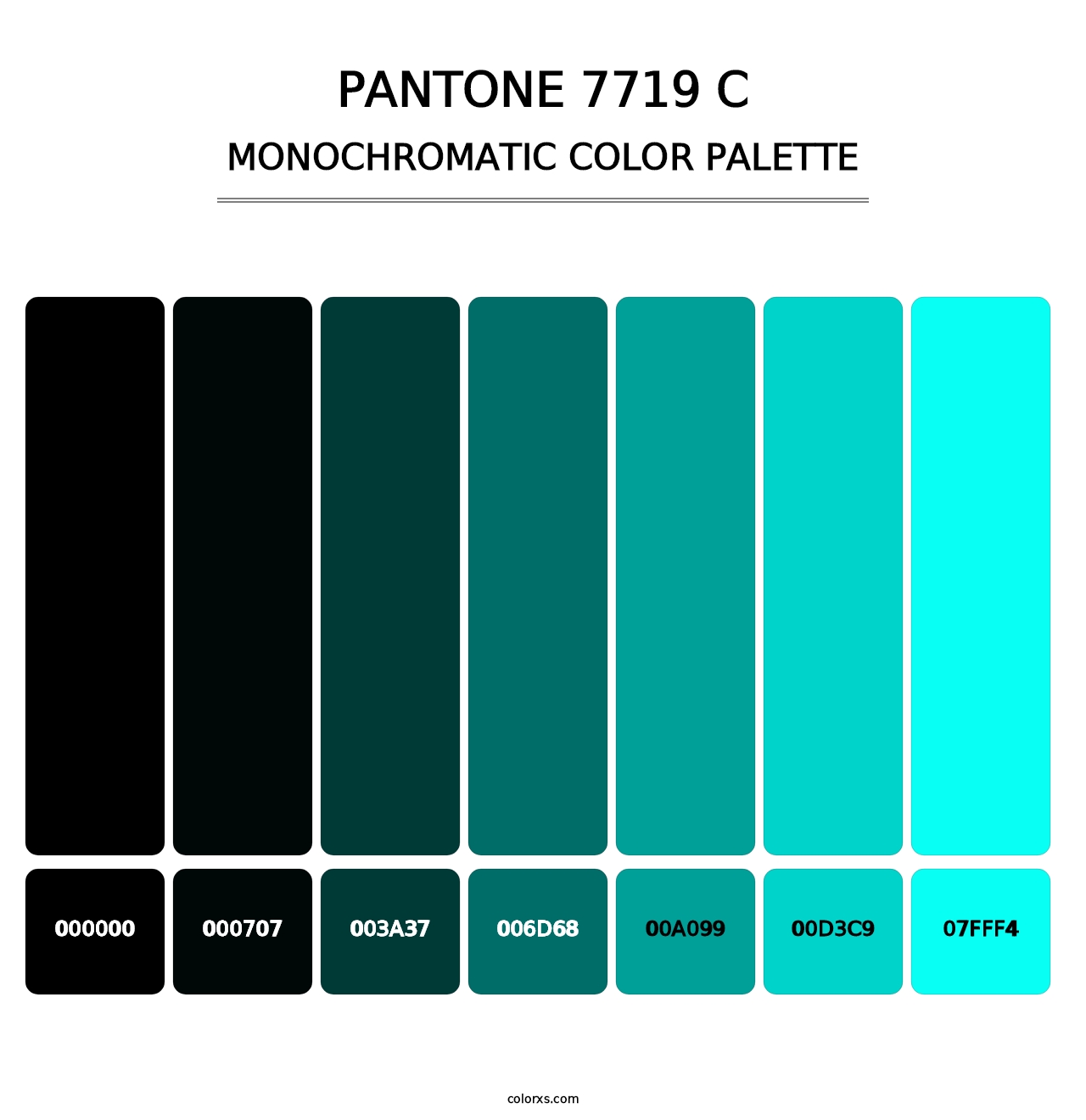 PANTONE 7719 C - Monochromatic Color Palette