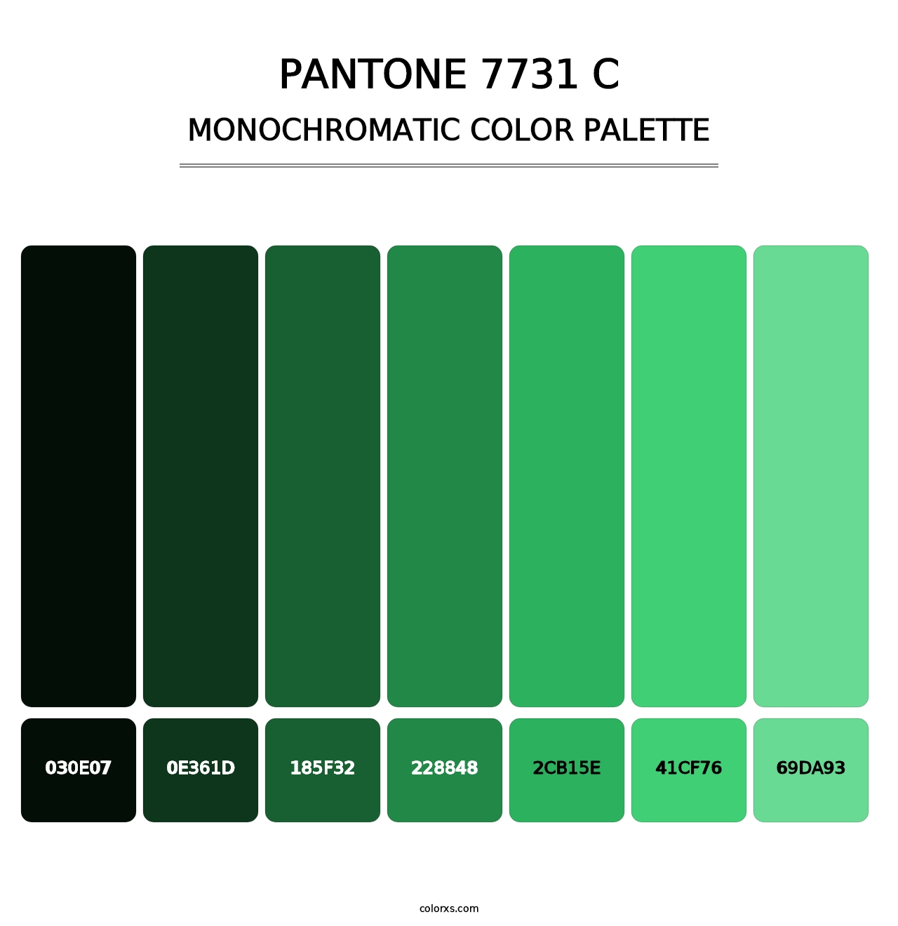 PANTONE 7731 C - Monochromatic Color Palette