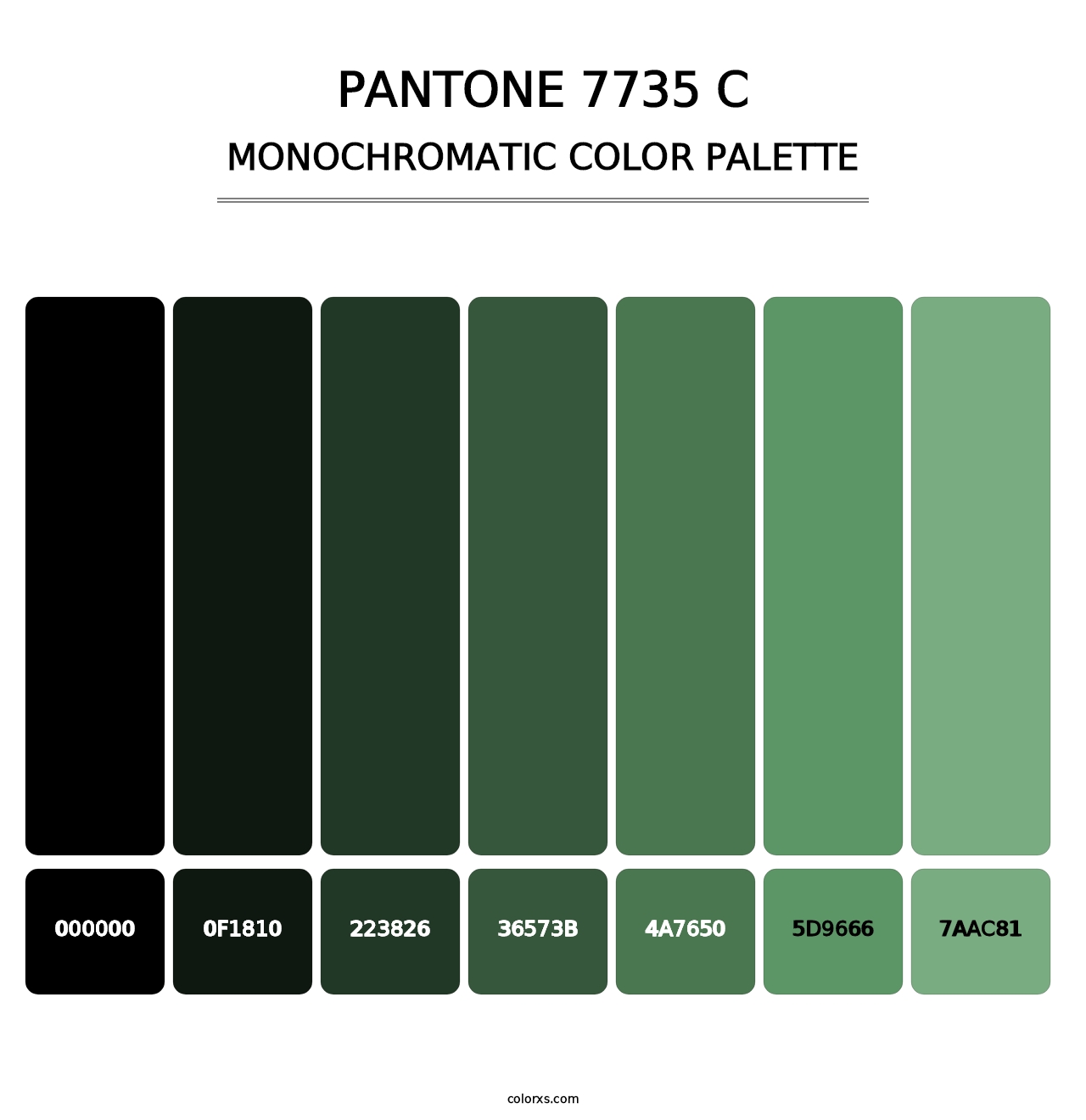 PANTONE 7735 C - Monochromatic Color Palette