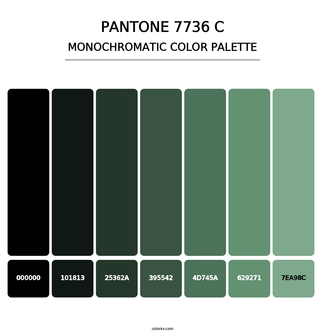 PANTONE 7736 C - Monochromatic Color Palette