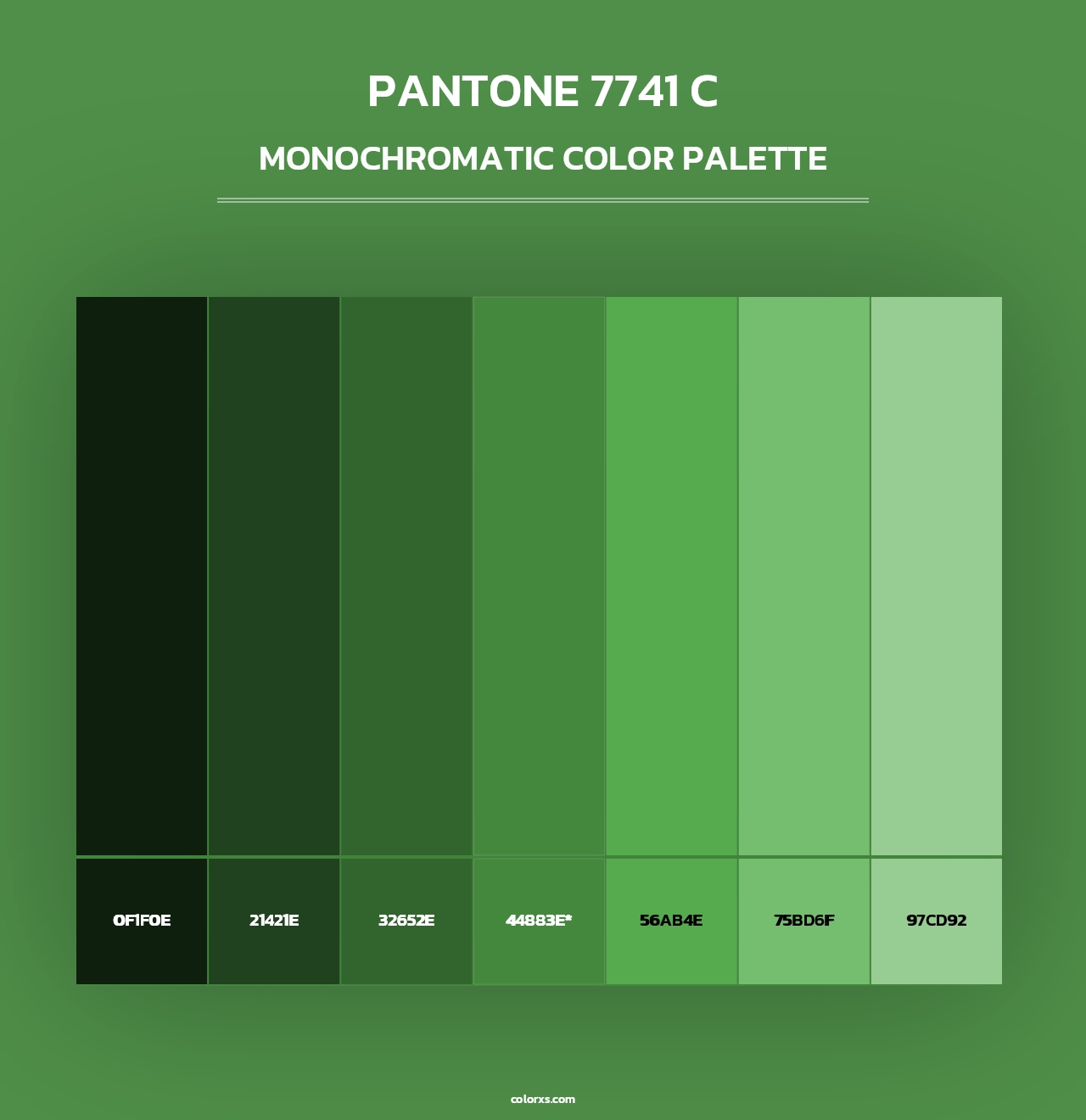 PANTONE 7741 C - Monochromatic Color Palette
