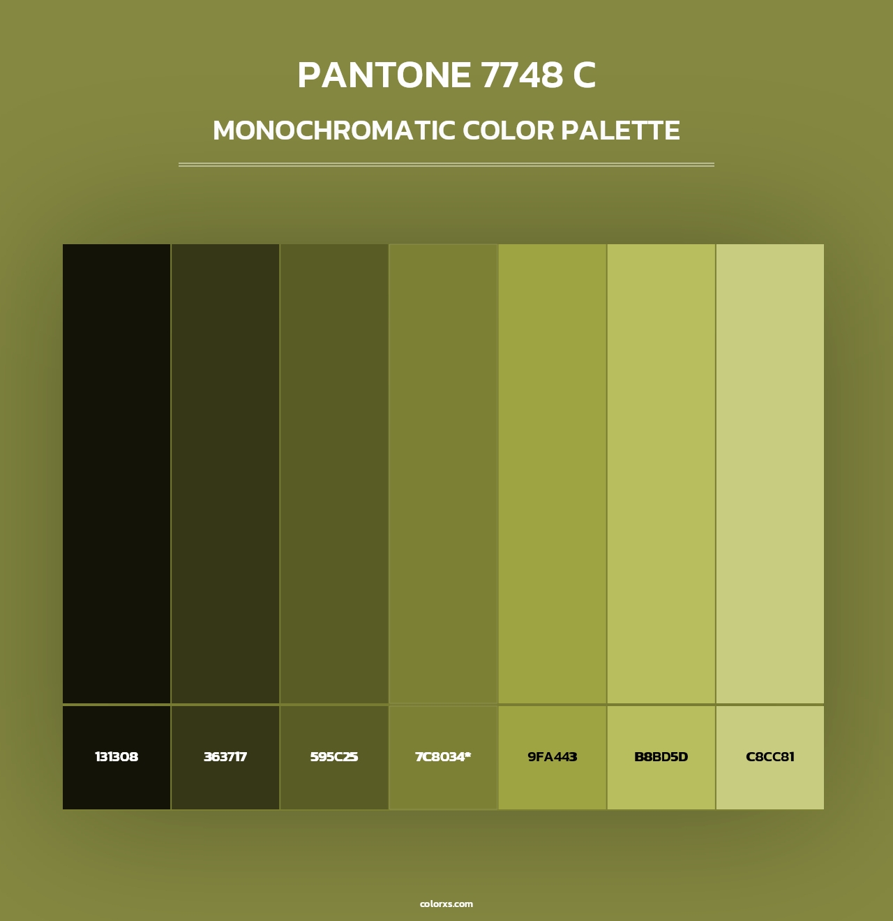 PANTONE 7748 C - Monochromatic Color Palette