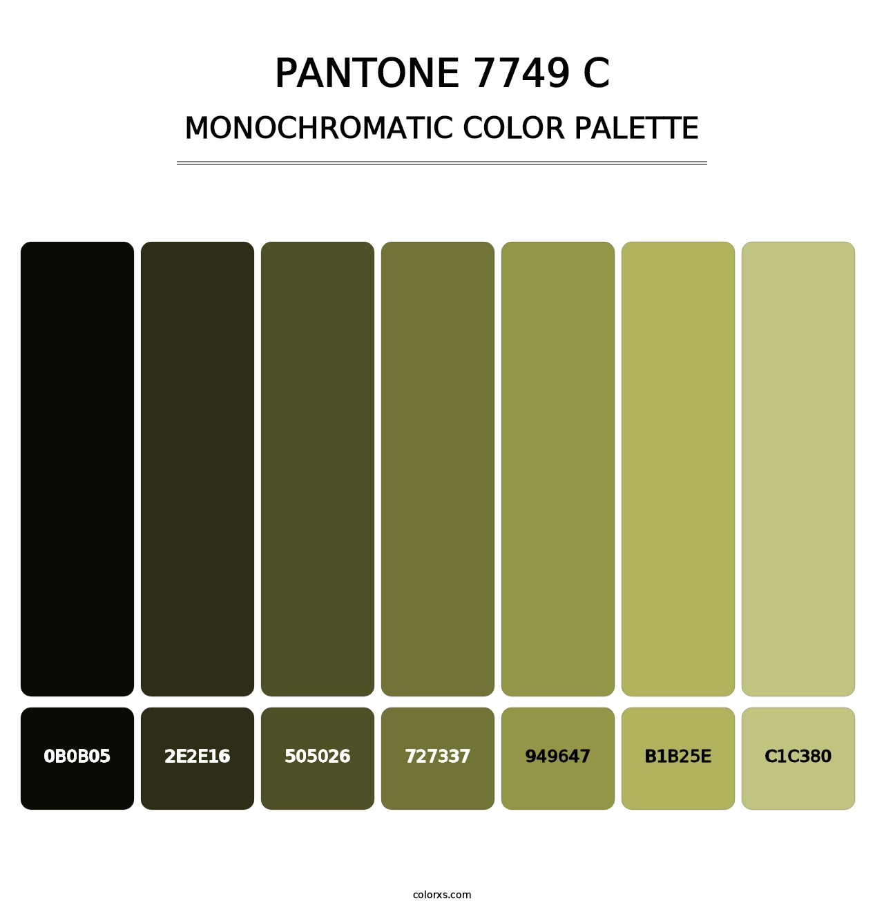 PANTONE 7749 C - Monochromatic Color Palette