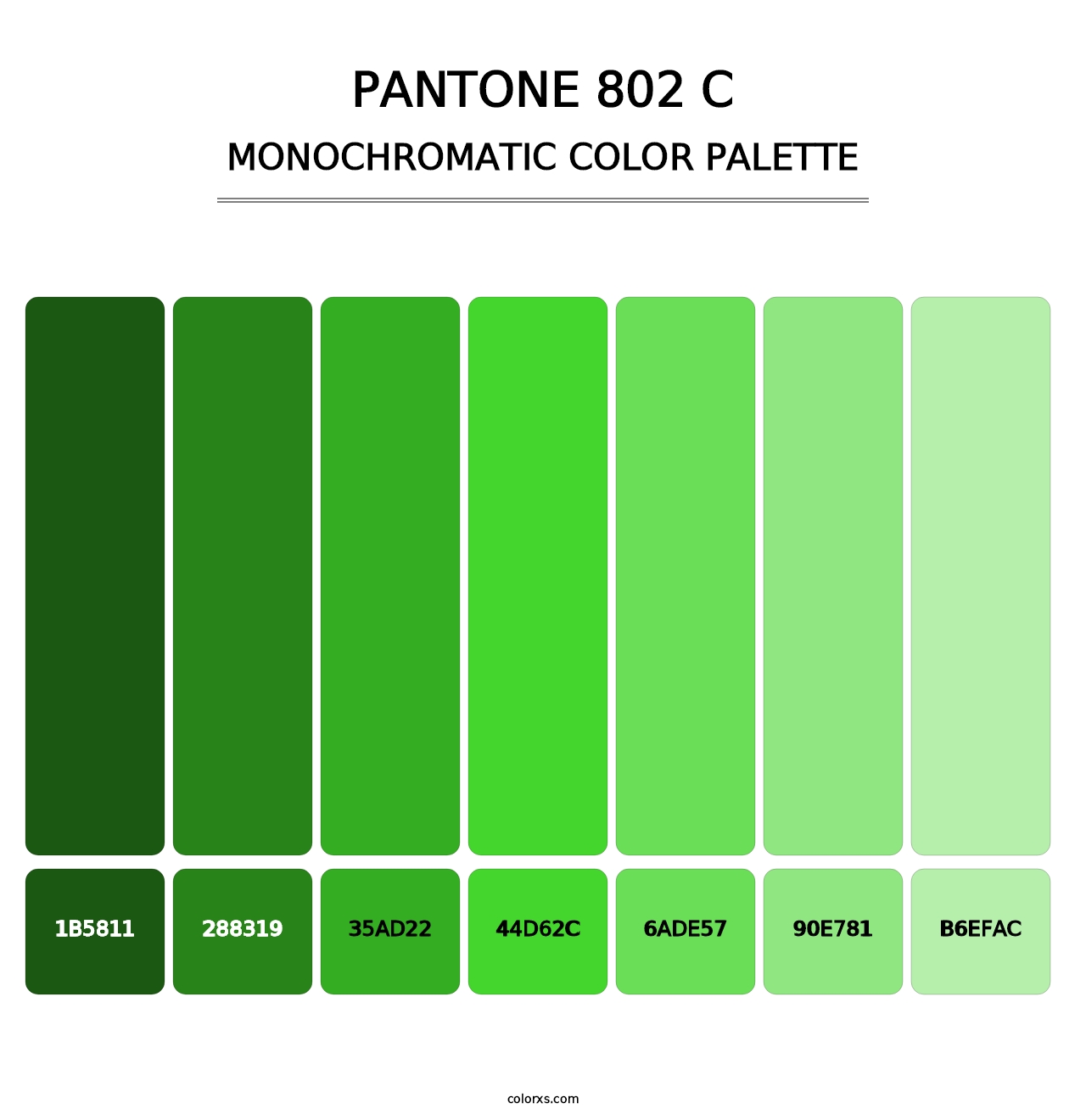 PANTONE 802 C - Monochromatic Color Palette