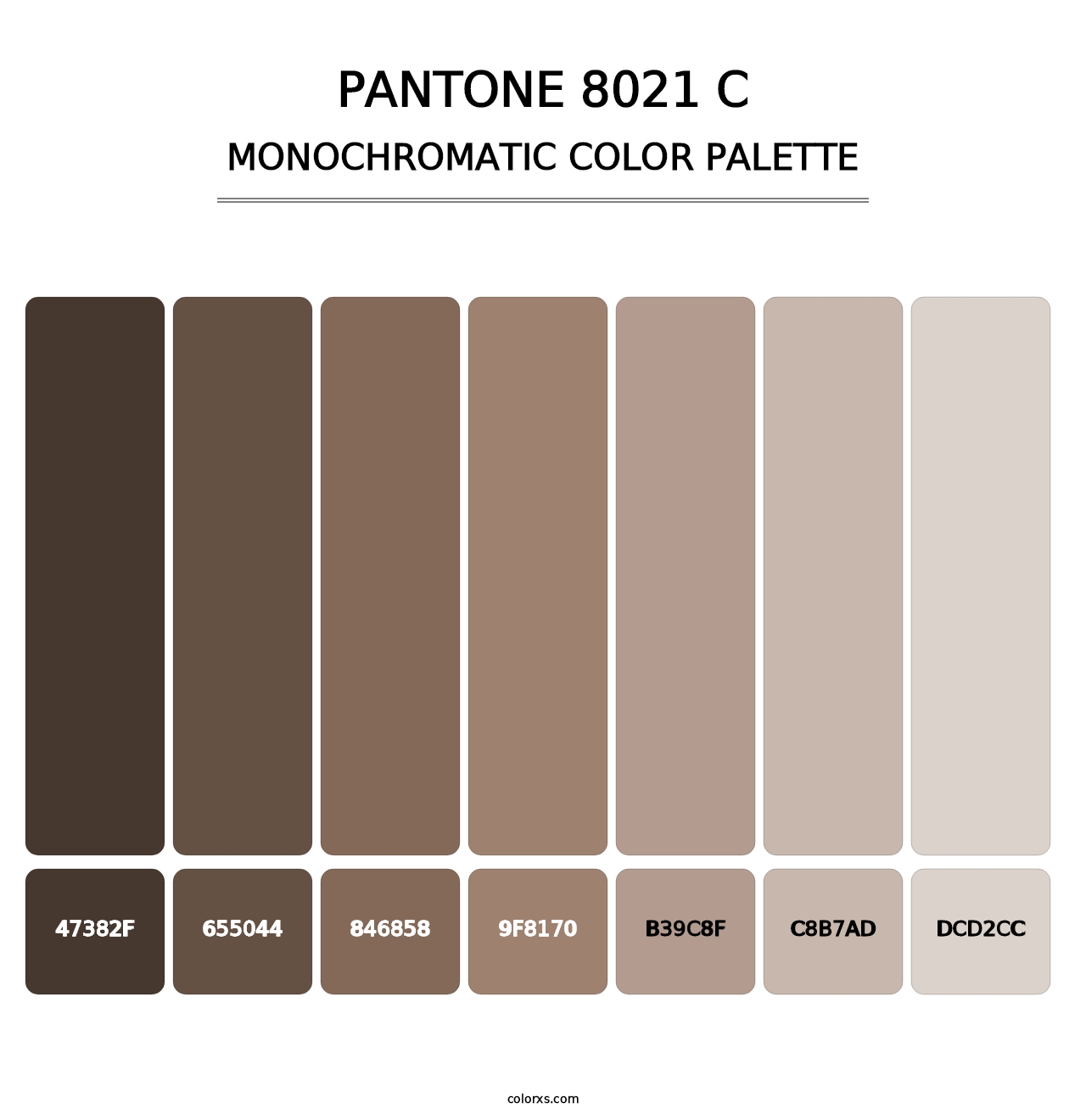 PANTONE 8021 C - Monochromatic Color Palette
