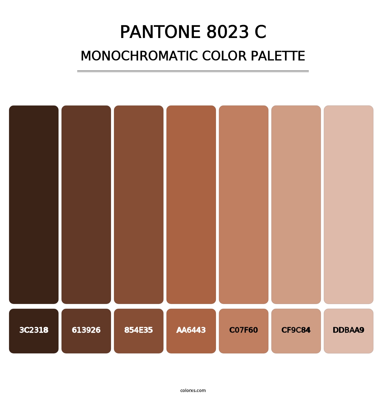 PANTONE 8023 C - Monochromatic Color Palette