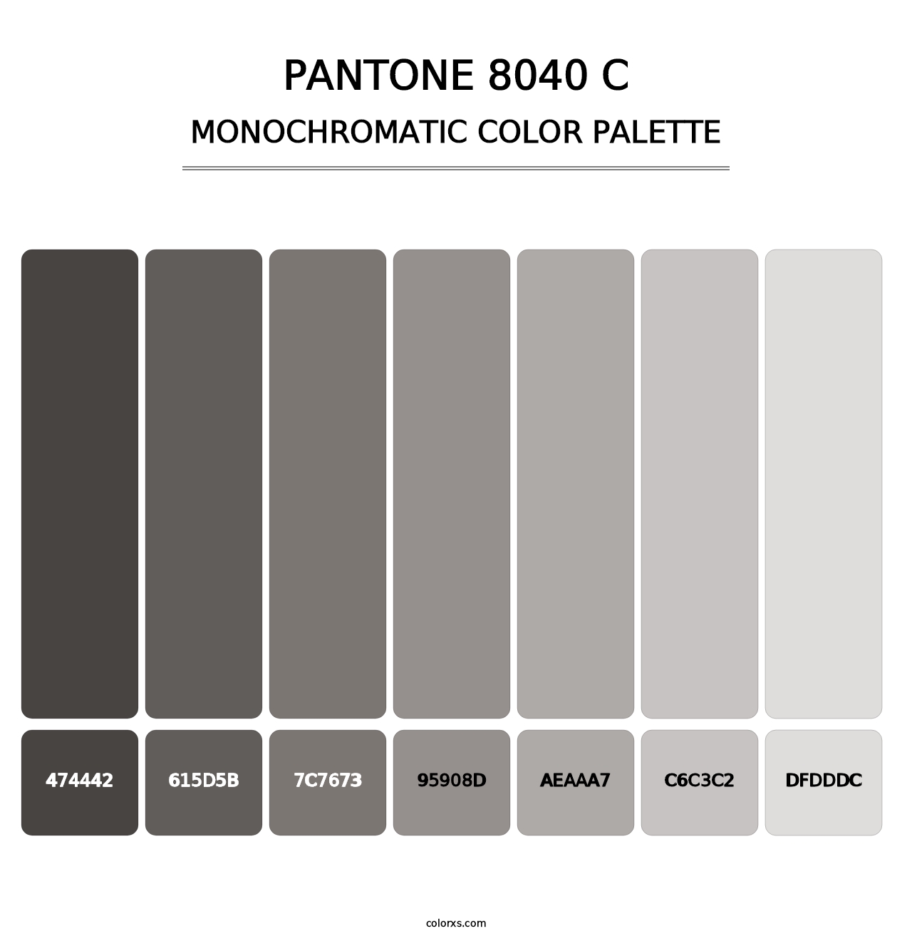 PANTONE 8040 C - Monochromatic Color Palette