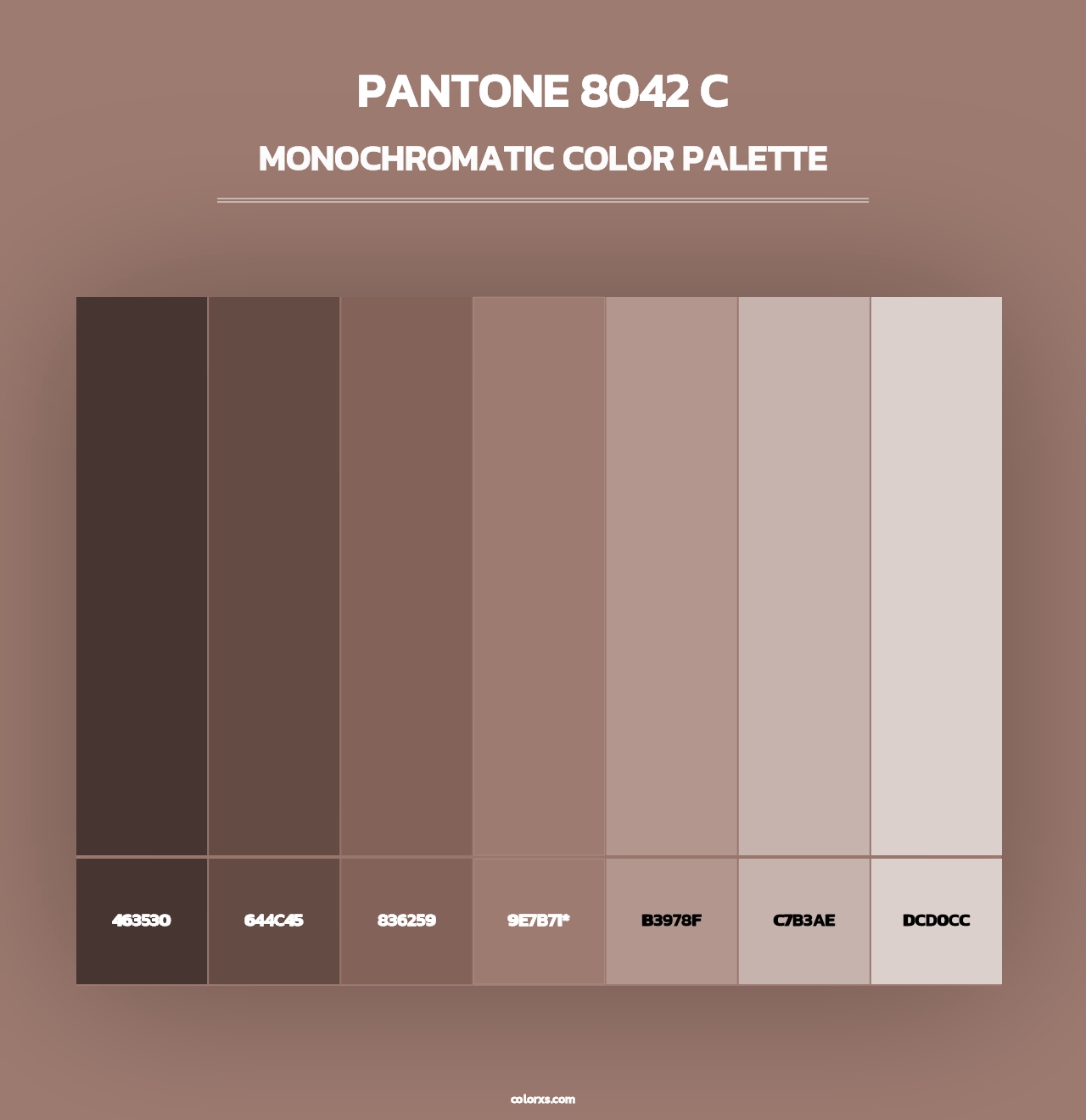 PANTONE 8042 C - Monochromatic Color Palette