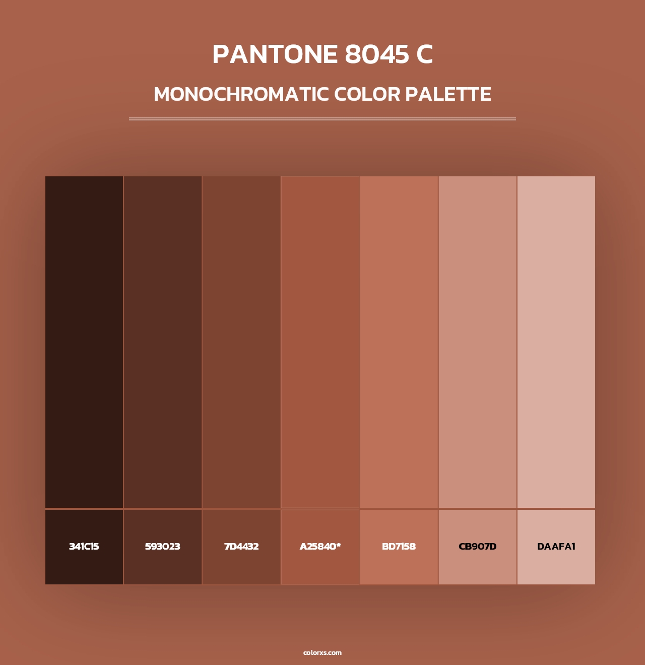 PANTONE 8045 C - Monochromatic Color Palette