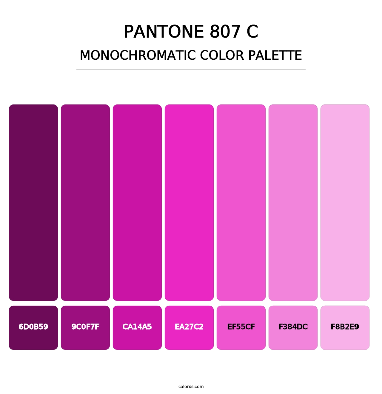 PANTONE 807 C - Monochromatic Color Palette