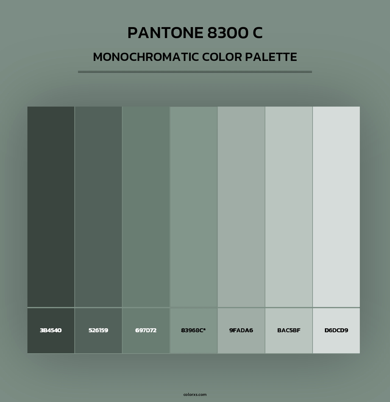 PANTONE 8300 C - Monochromatic Color Palette