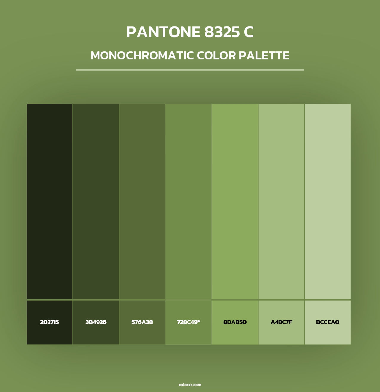 PANTONE 8325 C - Monochromatic Color Palette