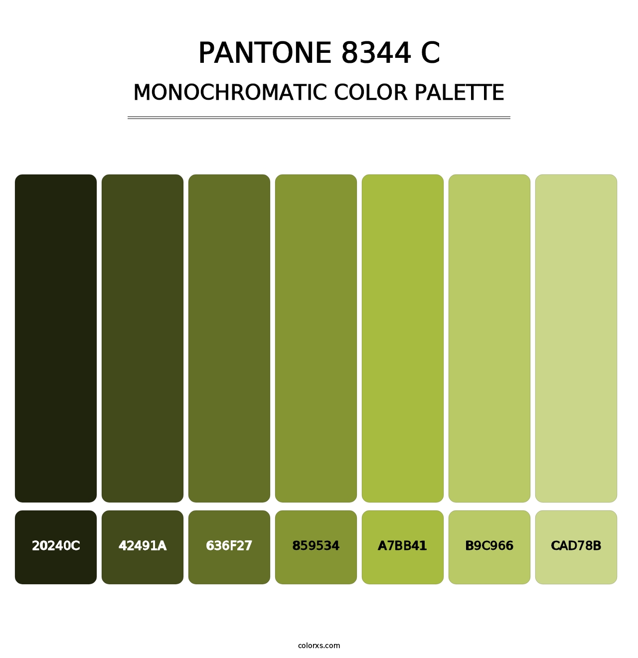 PANTONE 8344 C - Monochromatic Color Palette