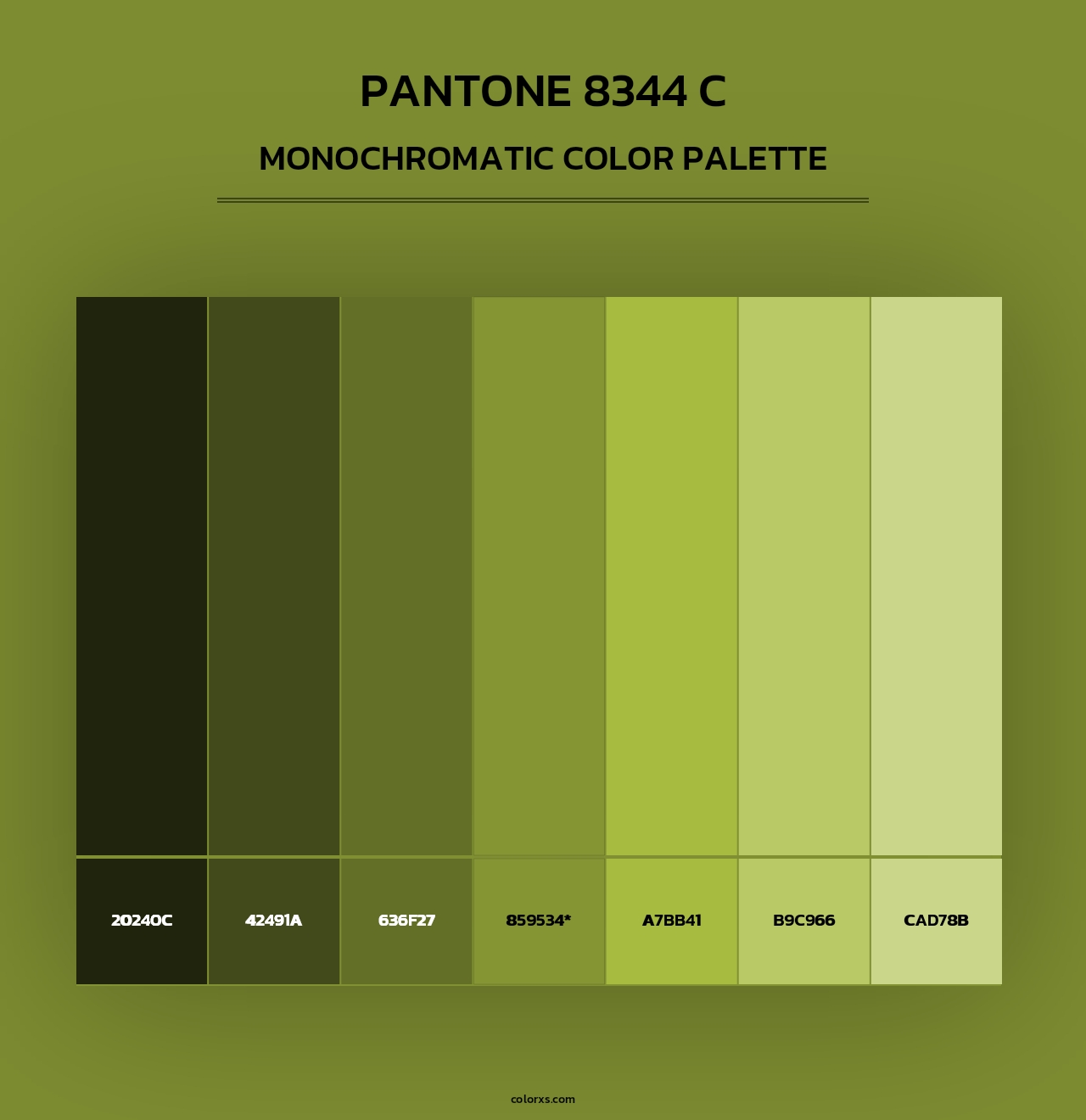 PANTONE 8344 C - Monochromatic Color Palette