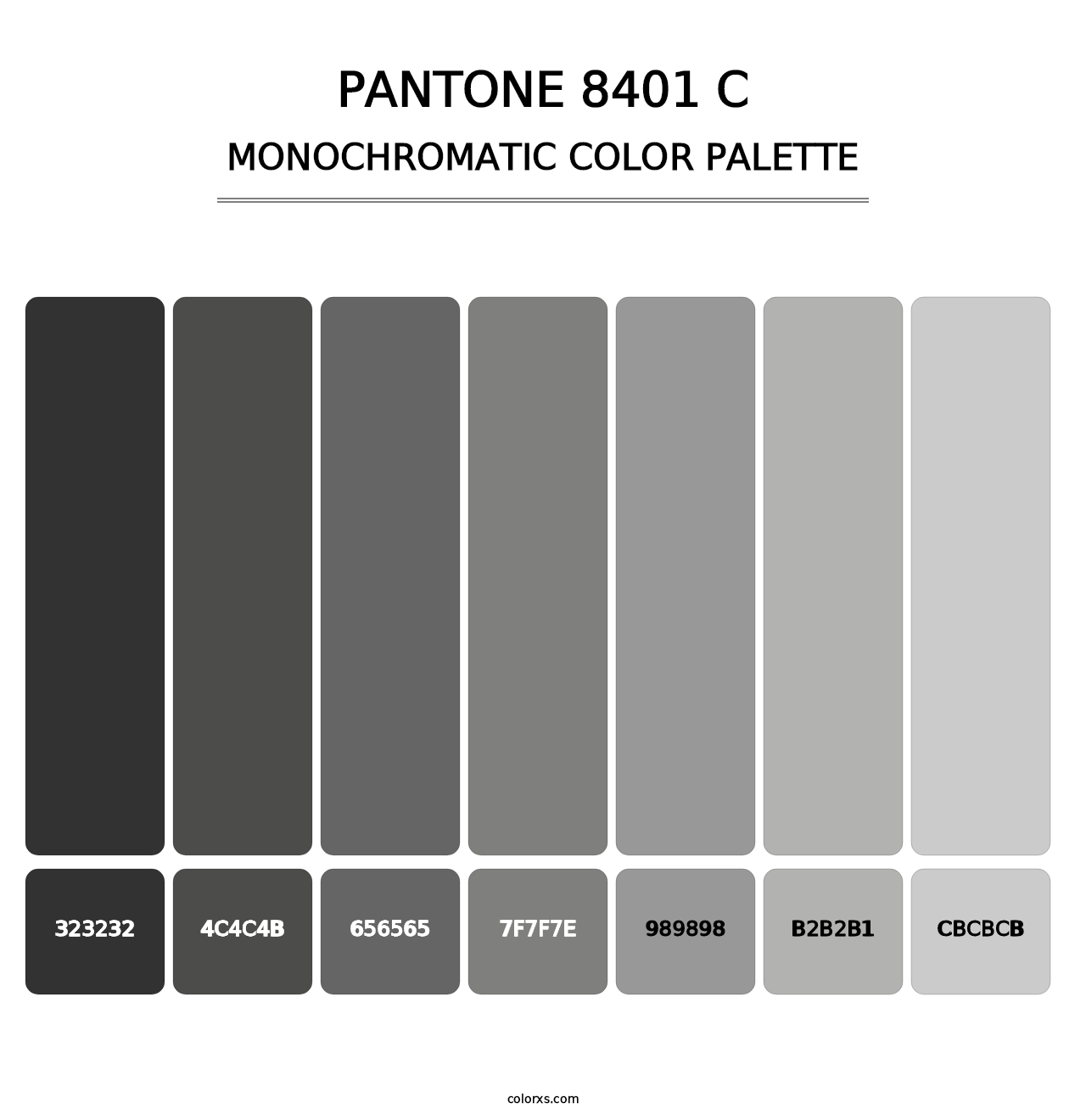 PANTONE 8401 C - Monochromatic Color Palette